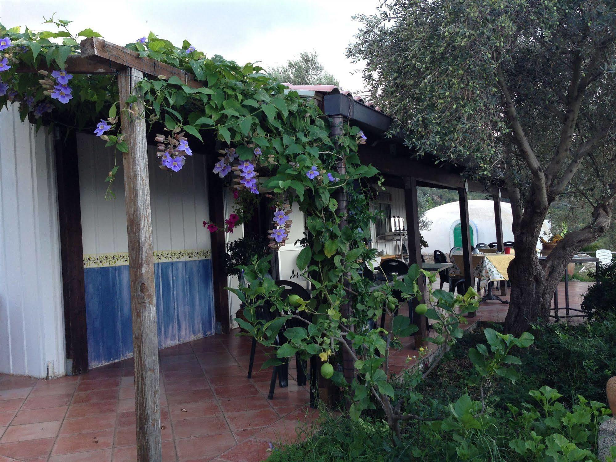 Pensjonat Giardino Di Sicilia SantʼAgata di Militello Zewnętrze zdjęcie