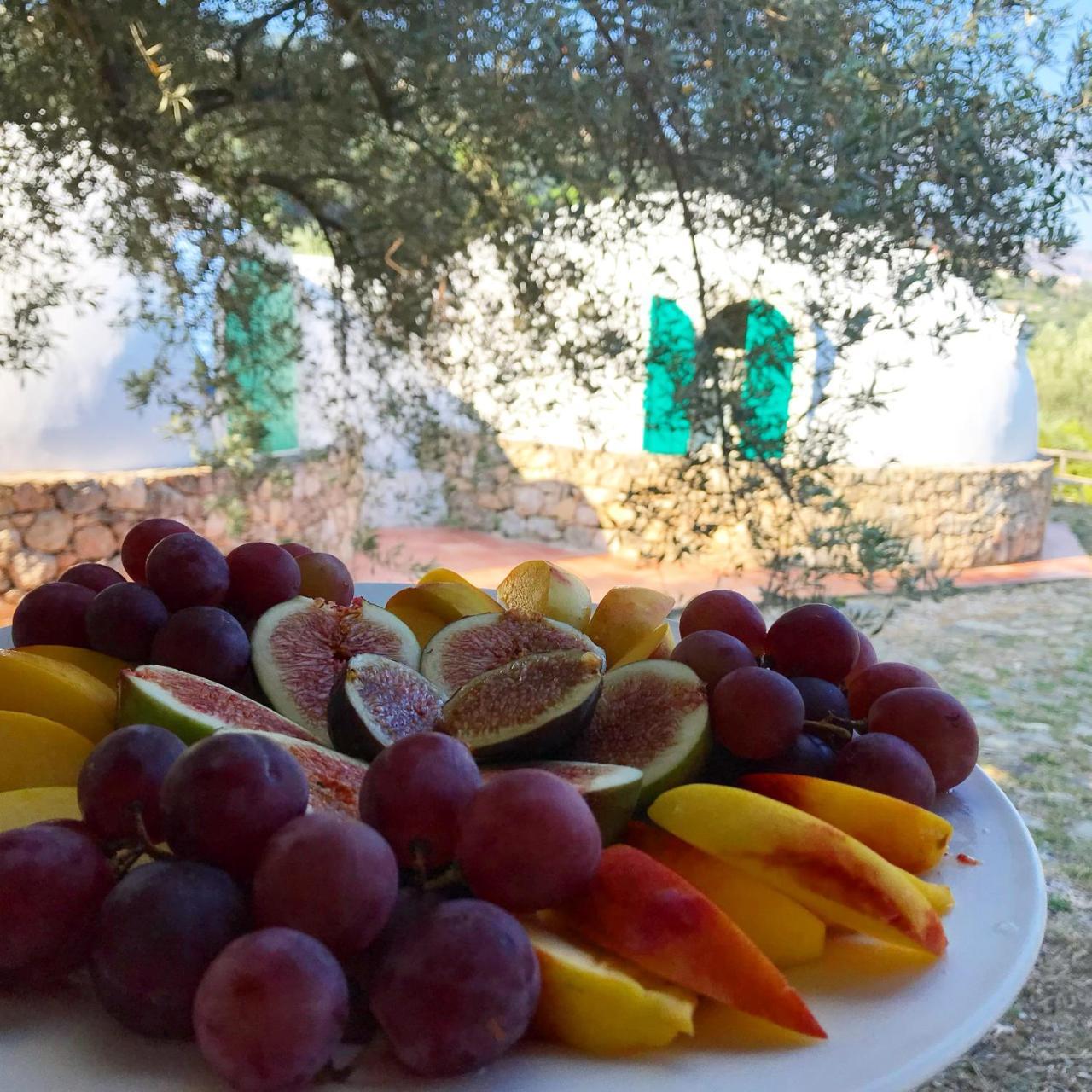 Pensjonat Giardino Di Sicilia SantʼAgata di Militello Zewnętrze zdjęcie