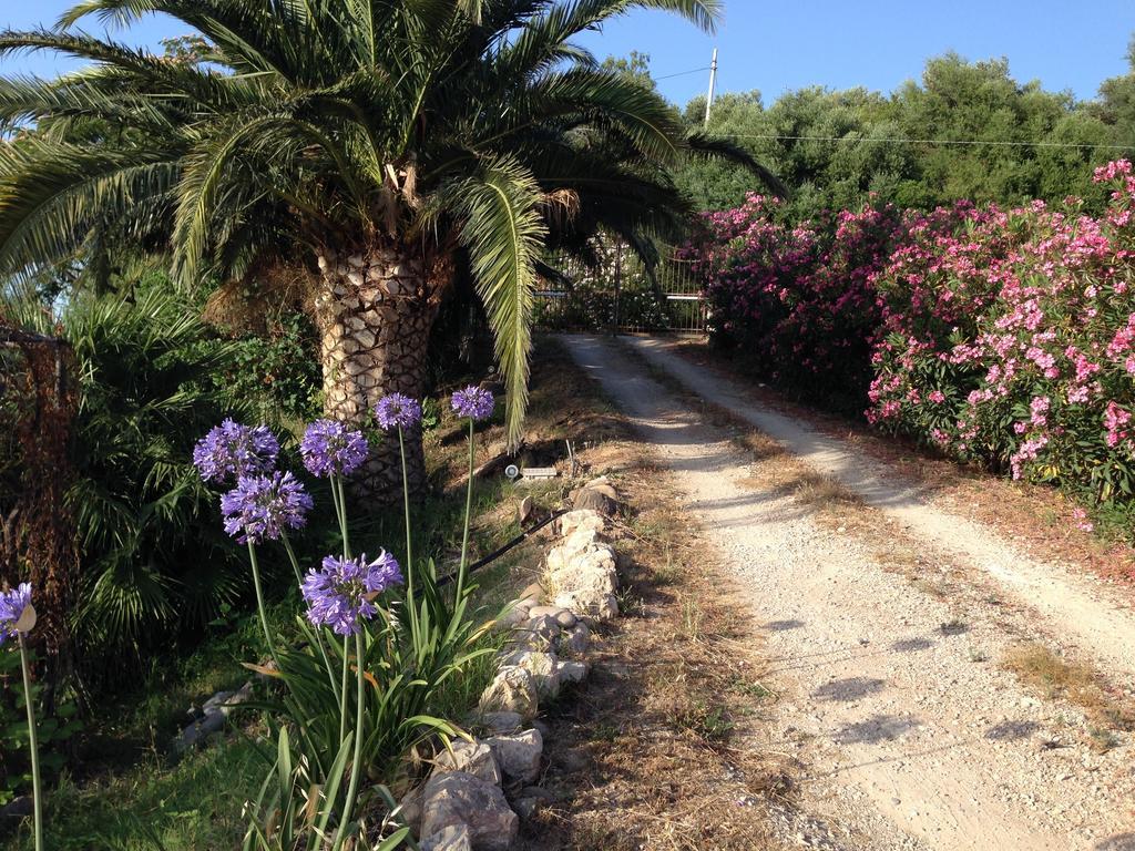 Pensjonat Giardino Di Sicilia SantʼAgata di Militello Zewnętrze zdjęcie